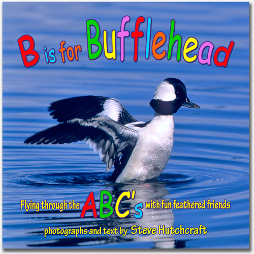 Kids ABC Book,Bird Photography